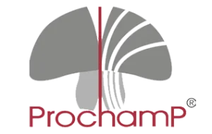 Prochamp_317x201